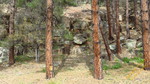 photo thumbnail #5