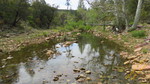 photo thumbnail #14