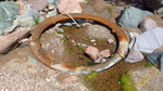 photo thumbnail #6