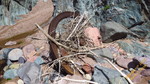 photo thumbnail #13