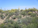 photo thumbnail #1