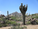 photo thumbnail #9