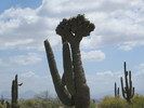 photo thumbnail #10