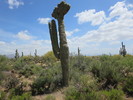 photo thumbnail #11