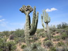 photo thumbnail #12
