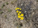photo thumbnail #13