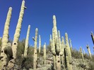 photo thumbnail #14