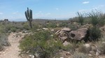 photo thumbnail #5