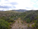 photo thumbnail #12