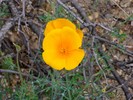 photo thumbnail #14