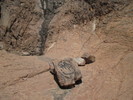 photo thumbnail #15