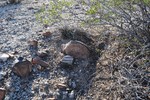 photo thumbnail #9