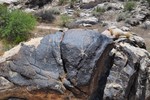 photo thumbnail #3