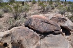 photo thumbnail #10