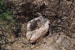 photo thumbnail #14