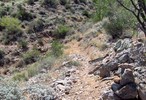 photo thumbnail #3