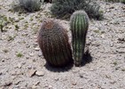 photo thumbnail #13