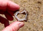 photo thumbnail #14