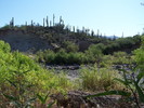 photo thumbnail #14