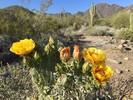 photo thumbnail #1