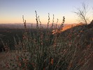 photo thumbnail #9