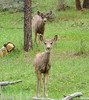 photo thumbnail #3