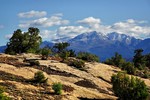 photo thumbnail #7