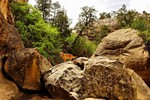 photo thumbnail #15