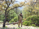 photo thumbnail #4