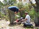 photo thumbnail #11