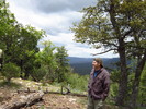 photo thumbnail #12