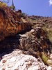 photo thumbnail #6