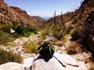photo thumbnail #9