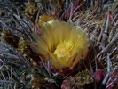 photo thumbnail #8