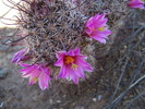 photo thumbnail #9