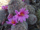 photo thumbnail #12