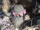 photo thumbnail #13
