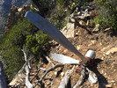 photo thumbnail #10