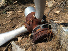 photo thumbnail #11