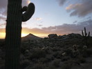 photo thumbnail #12