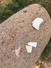 photo thumbnail #11