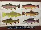 2015-05-23 :3: Tonto Creek Fish Hatchery AZGF :: Crzy4AZ