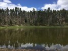 photo thumbnail #6