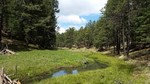 photo thumbnail #10