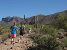 photo thumbnail #2