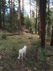 photo thumbnail #10