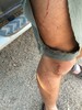photo thumbnail #9