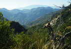 photo thumbnail #7