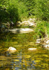 photo thumbnail #14