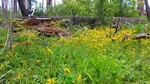 photo thumbnail #10